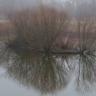 Foggy island